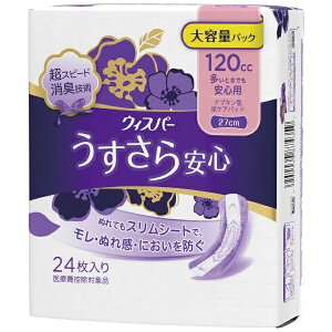 EBXp S ƂłSp 120cc 24