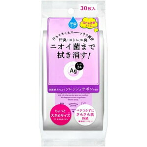 G[W[fI24 NAV[V[g tbVT{ 30