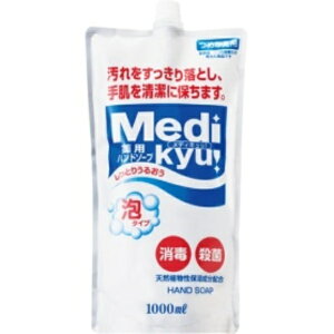 PbgΌ pnh\[v fBLb A^Cv l֗p 1000ml 1