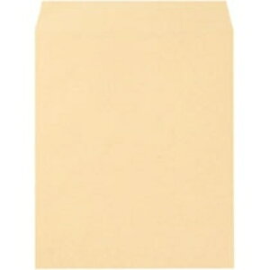  FSCNtg p0 85g^m2 527 1pbNi100j