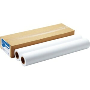 쐻쏊 CNWFbgpX^_[hʎ A1[ 594mm×45m IJLF64A1SP 1i2{j