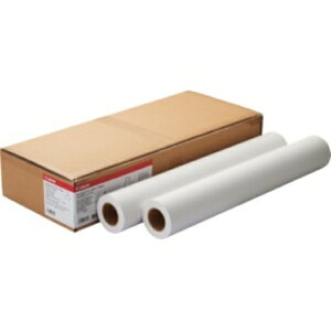 キヤノン スタンダード普通紙2 LFM−PPS2/36/64 36インチロール 914mm×50m 8738B002 1箱(2本)