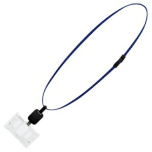 RN ݂艺DZbgi[En[hP[XjiAChvXj IDEICJ[hp  it|R280B 1