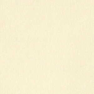 �����e�b�N �j���[�J���[R �l�� �x�[�W�� 4NCR�|138 1�p�b�N�i100���j