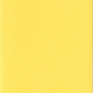 �����e�b�N �j���[�J���[R �l�� ������ 4NCR�|319 1�p�b�N�i100���j