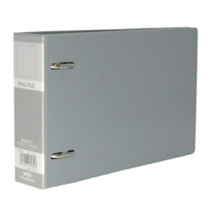 ZLZC bNOt@C B6R 2 280e w43mm O[ F|232|62 1