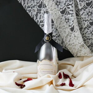 ܁byCatenoise(Vgm)zouoX{fBEHbV t[XN̍ SV^01^Vo[^̑^|bv 01-080601-00608-01-13-00-12-05