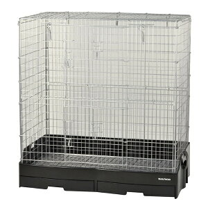 C[W[z[ 80 nC(C[XmRdl)