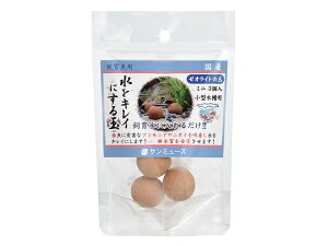 [ICg̋ ~j uE 3 1î