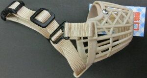 ���U������101 1���i�̂�