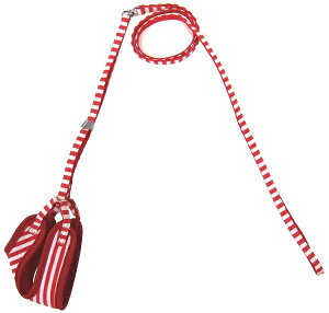 XgCv\tgn[lX[h 3S bhzCg