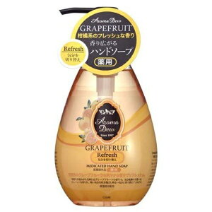 A}fE pnh\[vO[vt[c 030-273 43-00