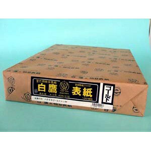 �ڕ\���@100�� 4143