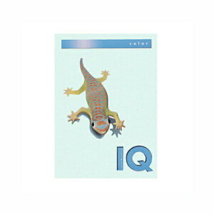 oCIgbvJ[@A4@80g^m2@500 BT507