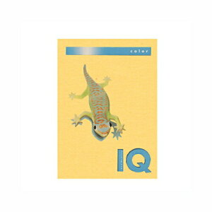 oCIgbvJ[@A4@80g^m2@500 BT502