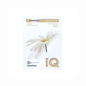 oCIgbvJ[@A4@80g^m2@500 BT500