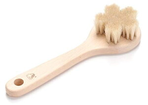 A[guVЁ@nт̃{fBuVwx 8079331