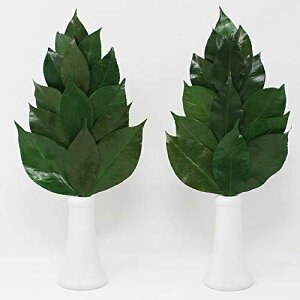 A&K(G[AhPC) v~A OgY֗tgp MTCY SKK-004PM