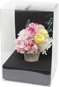 A&K(�G�[�A���h�P�C) �M�t�g�V���[�Y ���蕨�ɍœK�ȃv���U�[�u�h�t�����[ �~�j���� MF-10