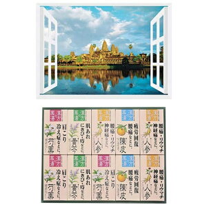 v C̃|X^[ EY AR[bg + p܃MtgZbg B6133529+8100441