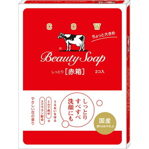 Όi JEuh Ԕ Ƒ傫 (125g×2) Ō`Ό ΂