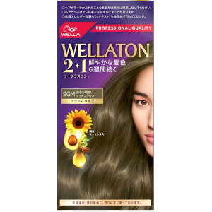 EGg[ 2+1 N[^Cv 9GM Ȃ薾邢}bguE[򕔊Oi](Ȕ)