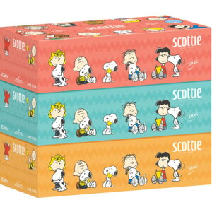 SCT@eBV[@Xk[s[@220g@3pbN