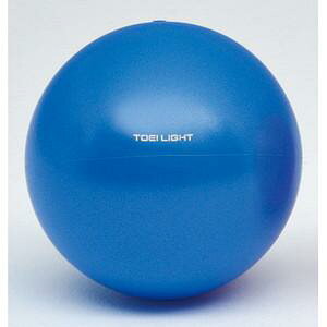 TOEI LIGHT(g[GCCg) \tg^b`Q[{[21  B3971B