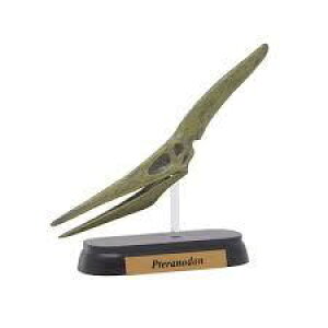  vemh XJ ~jf(FDW-509)