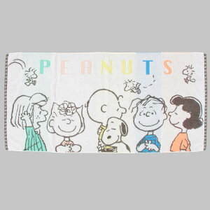 nishikawayz Xk[s[ oX^I 60X120cm 􂦂 100% Qdl 󖳔Qgp ӂƌy z ӂӂ Jt C{[ PN4608TW {  zCg XT14306601