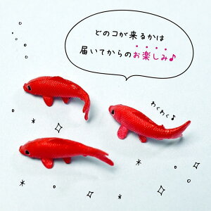 Gx[ p[c  RS-662 ~j`A׍H W n[oE   