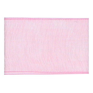 Blanc de �R�A ���{�� �V���L�[�I�[�K���W�[ No.1160-86 24mm×15m