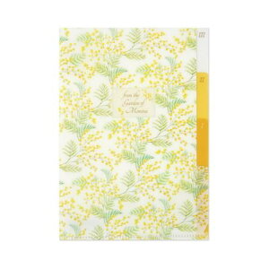 �N���A�t�H���_ B6�T�C�Y �~���U/CF-158