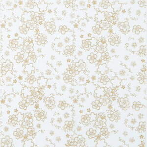 IpXN(Olympus Thred) zɓhʂ肦 Ԃʂ肦 t 23×23cm OLY-HN4