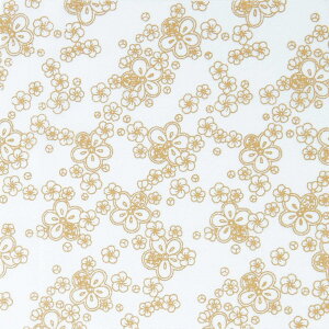 オリムパス製絲(Olympus Thred) 布に塗るぬりえ 花ぬりえ 梅こまち 約23×23cm OLY-HN5