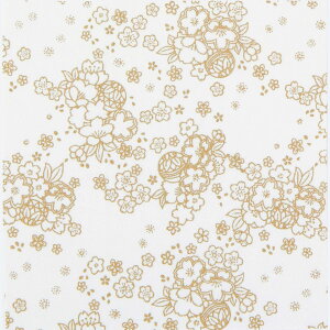 IpXN(Olympus Thred) zɓhʂ肦 Ԃʂ肦 Ԃ 23×23cm OLY-HN8