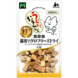 }cq Y Lp}Ot[YhC 15g Lp