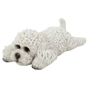 E[rA ԂgCv[h }Olbg 12.8×7.8×4.5cm l` tBMA u Aj}  K[f   Ck H21008