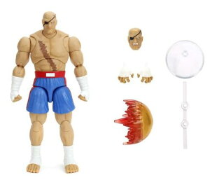 Xg[gt@C^[ ANVtBMA1/12XP[ TKbg (fbNXC)