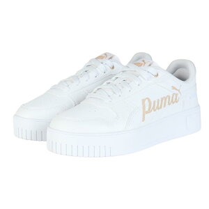 [v[}] Xj[J[ L[i Xg[g 400275 fB[X 25NtăJ[ zCg/Cg Th(02) 24.5 cm