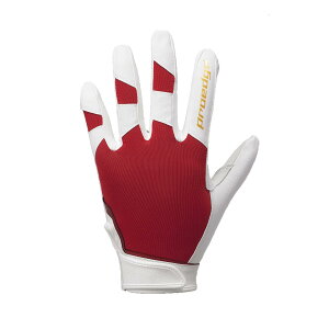 p zCg×bh (1020) TCY:S-L