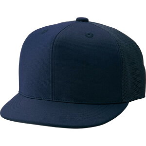 GXGXPC RXq(ZbV^Cv) BSC45 DlCr[ XO