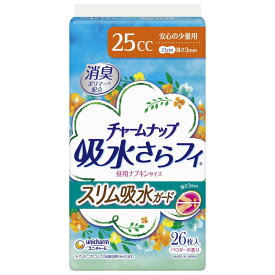 チャームナップ スリム吸水ガード 安心の少量用 25cc 26枚〔おりもの・軽度尿失禁用シート〕