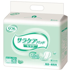 t TPApbh rbO Apbh (6z / 30) lpނ h~ (jp/pi) pbh^Cv