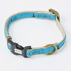 アドメイト (ADD. MATE) シンボルカラー SSサイズ ターコイズ