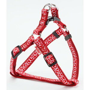 yeBI (Petio)  n[lX bh S TCY