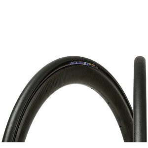 pi[T[(Panaracer) AWXg DURO 700×25C N`[  F725-AGD-B