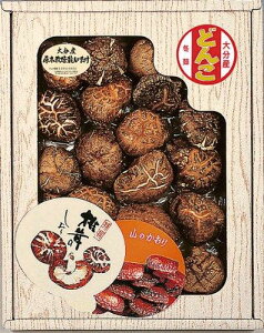 }gY 啪Yǂ񂱒ő 62g y啪Y ǂ/62gz FUJI-610369686