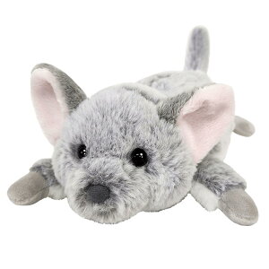 yBESTEVERz xXgGo[ yP[X y|[` ʂ yChAj}yP[Xz`` 񂿂