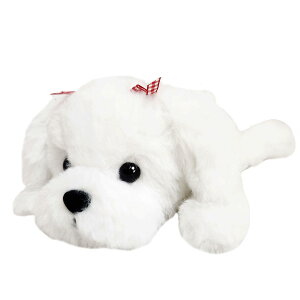 yBESTEVERzʂ  yP[X  Aj} |[` RX|[` e M yChAj}yP[Xz}`[Y